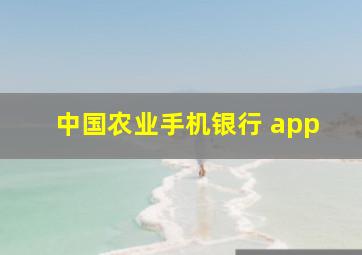 中国农业手机银行 app